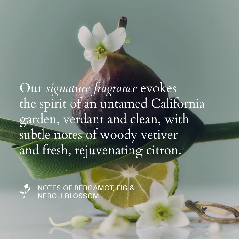 RŌZ Root Lift Spray | Instant Volume Boost| Buildable, Non-Sticky, Lightweight Hold | Infused with Mushroom Root, Rice Protein & Radish Root | Silicone-Free | 8 fl oz