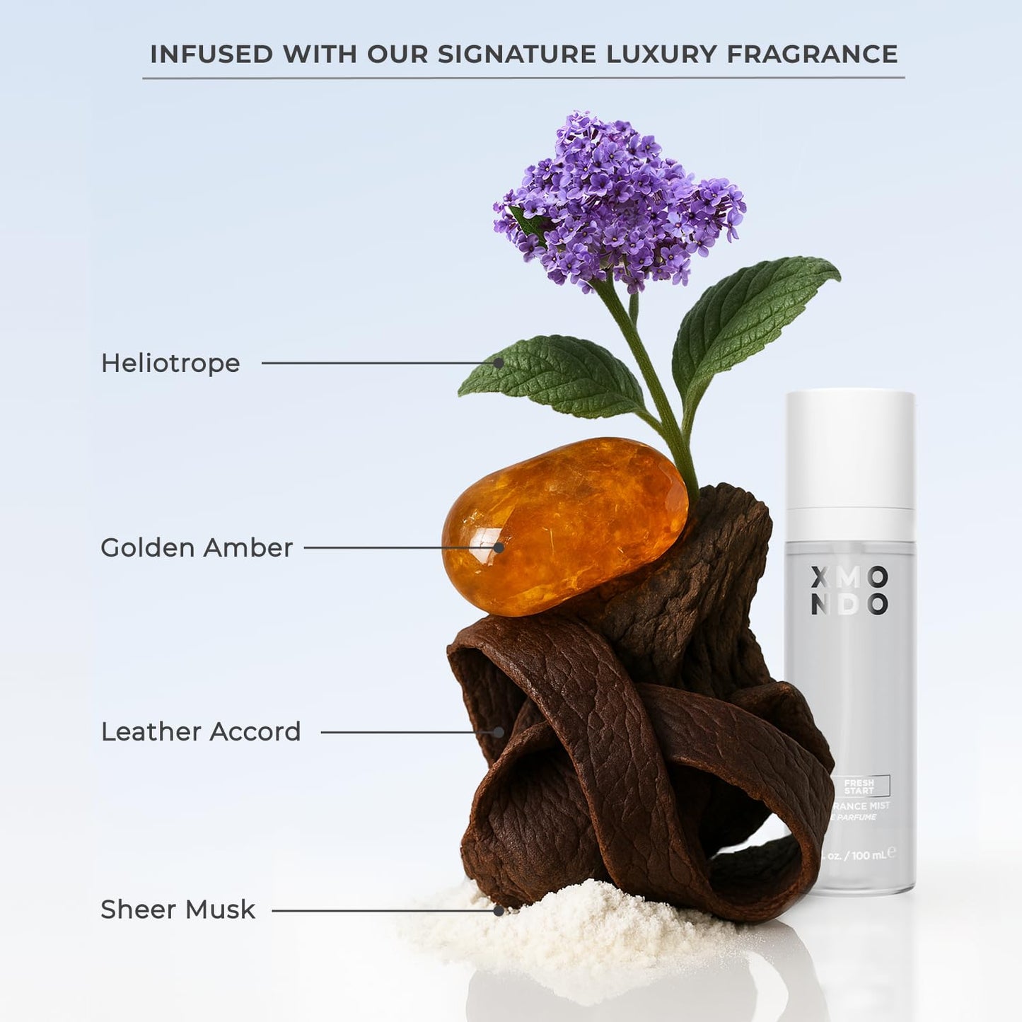 XMONDO Hair 5-Minute Top Coat – Platinum Color-Depositing Conditioner with Bond Booster, Hyaluronic Acid & Plant Protein, Pastel Hair Color, 6 fl oz