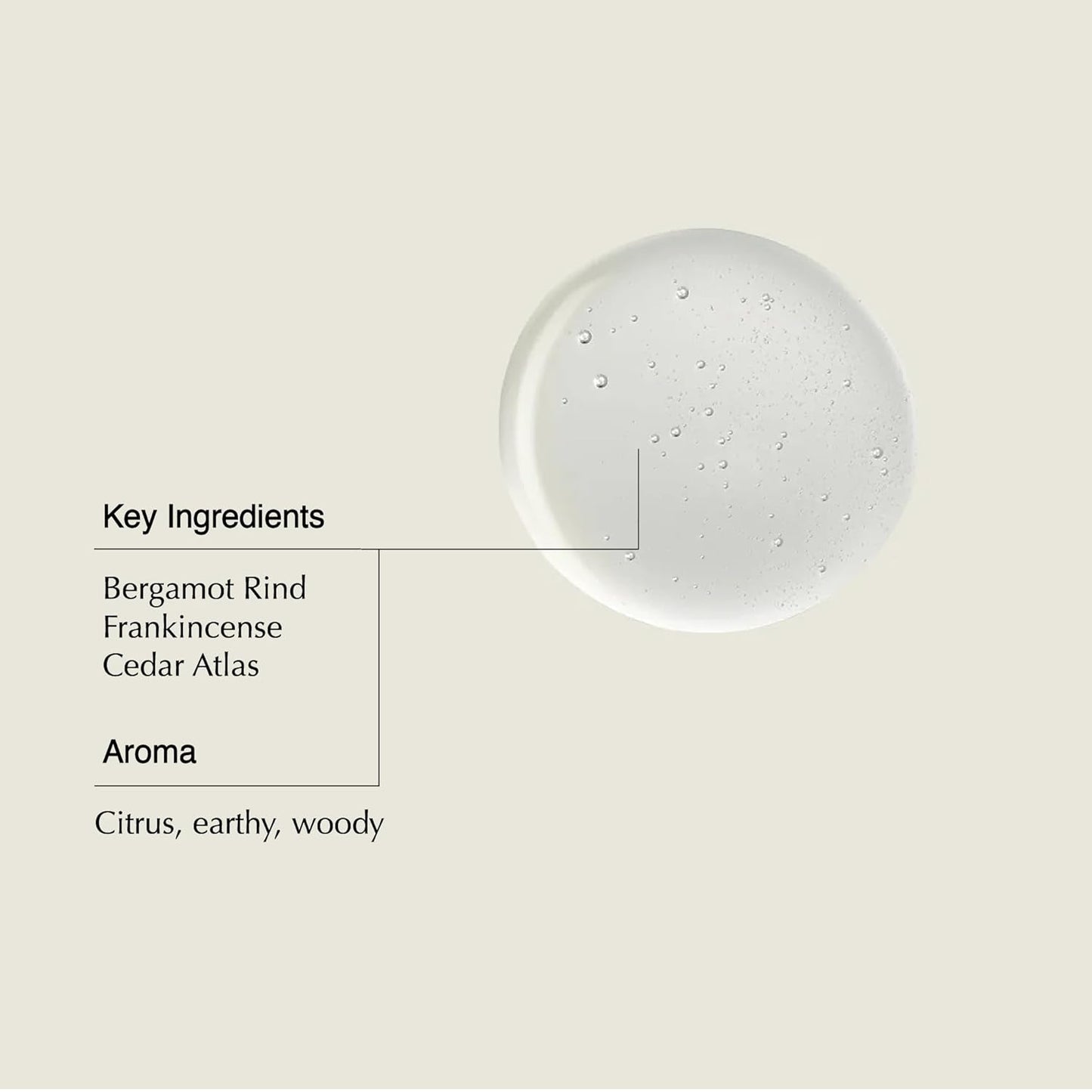 Aesop Shampoo & Conditioner Set | Hydrates, Softens, & Adds Shine | All Hair Types | 16.9 oz / 500mL