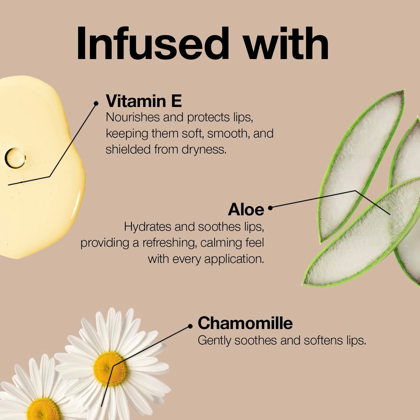 Palladio, Retractable Waterproof Lip Liner High Pigmented and Creamy Color Slim Twist Up Smudge Proof Formula with Long Lasting All Day Wear No Sharpener Required, Plum