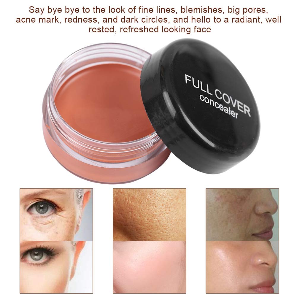 Concealer Conceal Dark Circles Eye Bags Acne Marks Makeup (FC04)