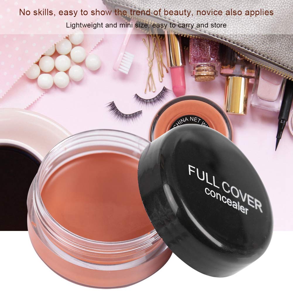 Concealer Conceal Dark Circles Eye Bags Acne Marks Makeup (FC04)