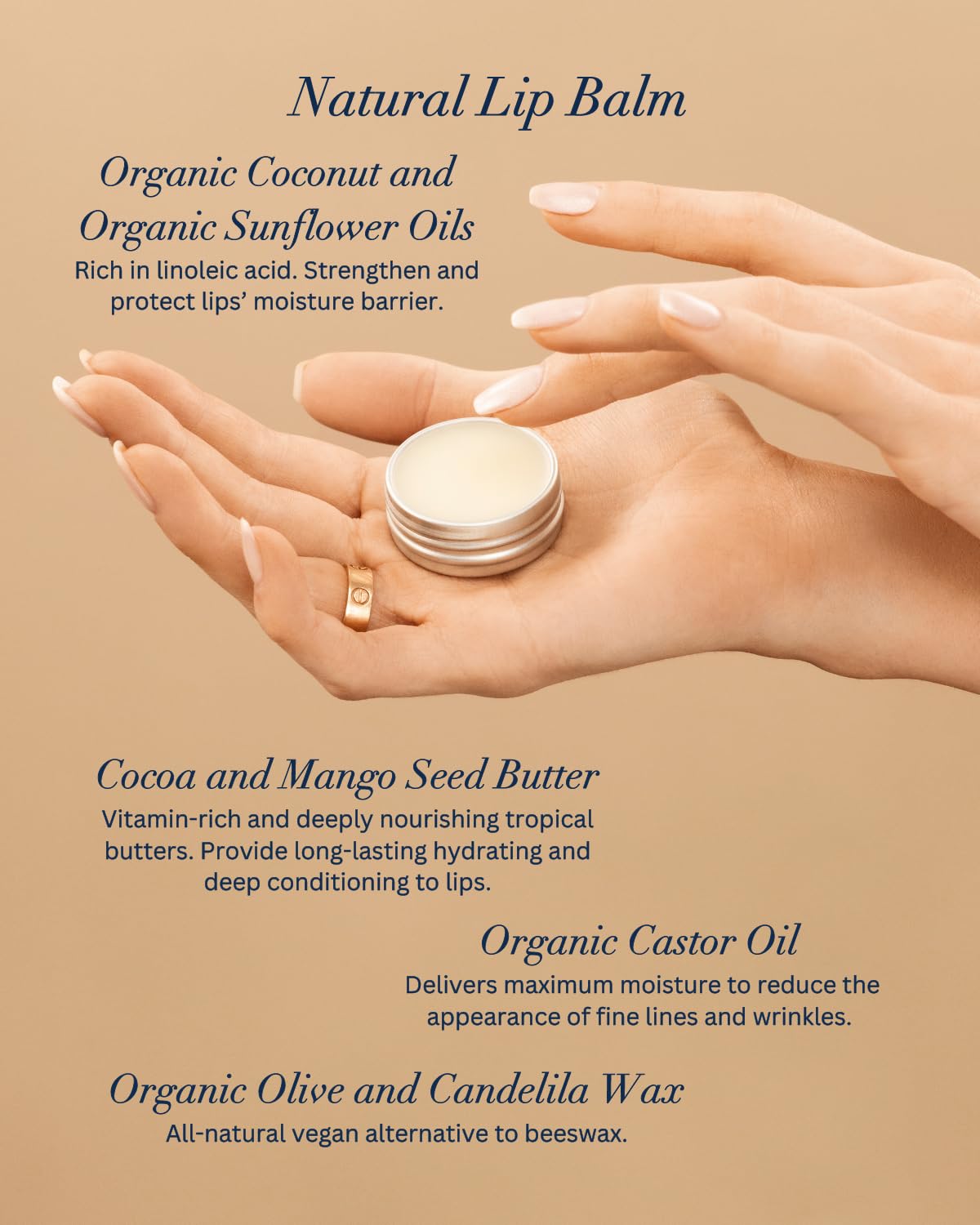 Hines+Young Travel Tins Gift Set - 4 oz Body Cream, 2 oz Linen Spray, Natural Lip Balm - Skin Care and Refreshing Home Fragrance, Ideal Self-Care Gift Set (Pack of 3, Hyannis Seagrass)