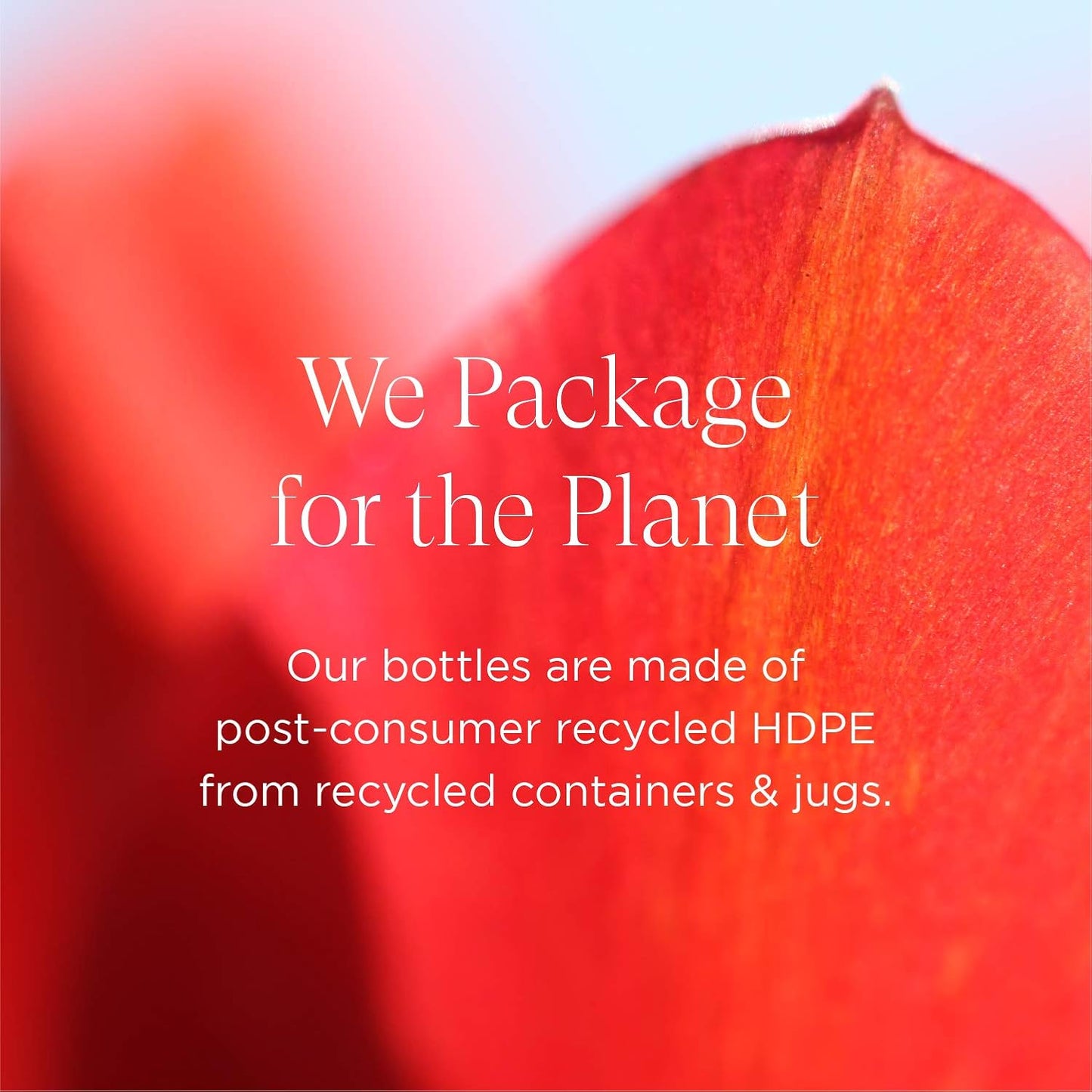 Intelligent Nutrients OneBody Hand Balm & Lip Delivery Nutrition Holiday Set - Help Soothe Dry Hands, Cuticles & Lips (2-Piece Set)