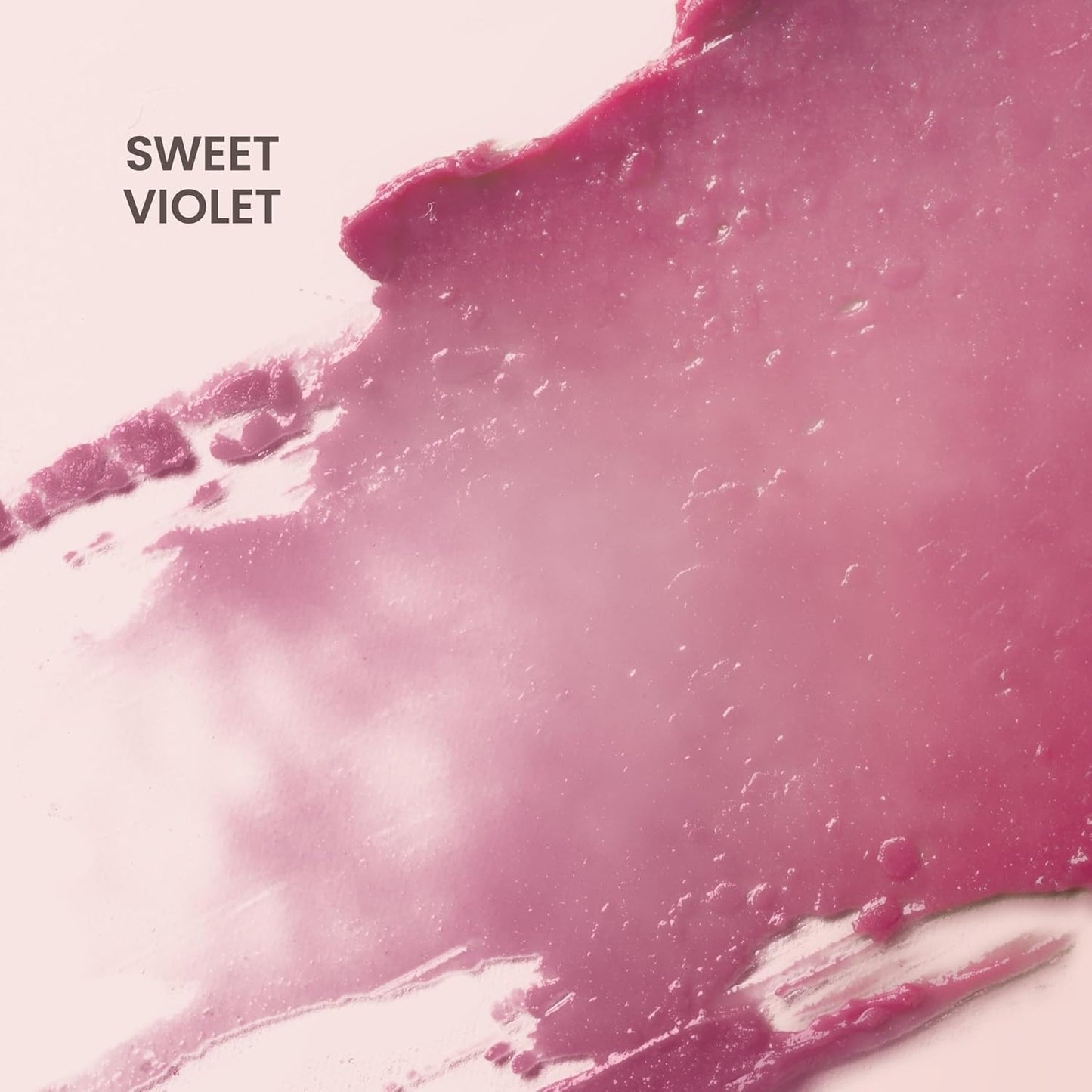 Burt's Bees Lip Tint Balm with Long Lasting 2 in 1 Duo Tinted Balm Formula, Color Infused with Deeply Hydrating Shea Butter for a Natural Looking Buildable Finish, Sweet Violet (2-Pack)