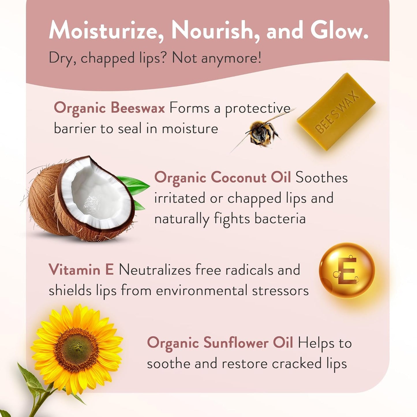 Moroccan Magic Organic Lip Balm Variety Pack Gift Set | Natural Argan and Essential Oils | Smooth | Non-Toxic Cruelty Free | 8 Pack