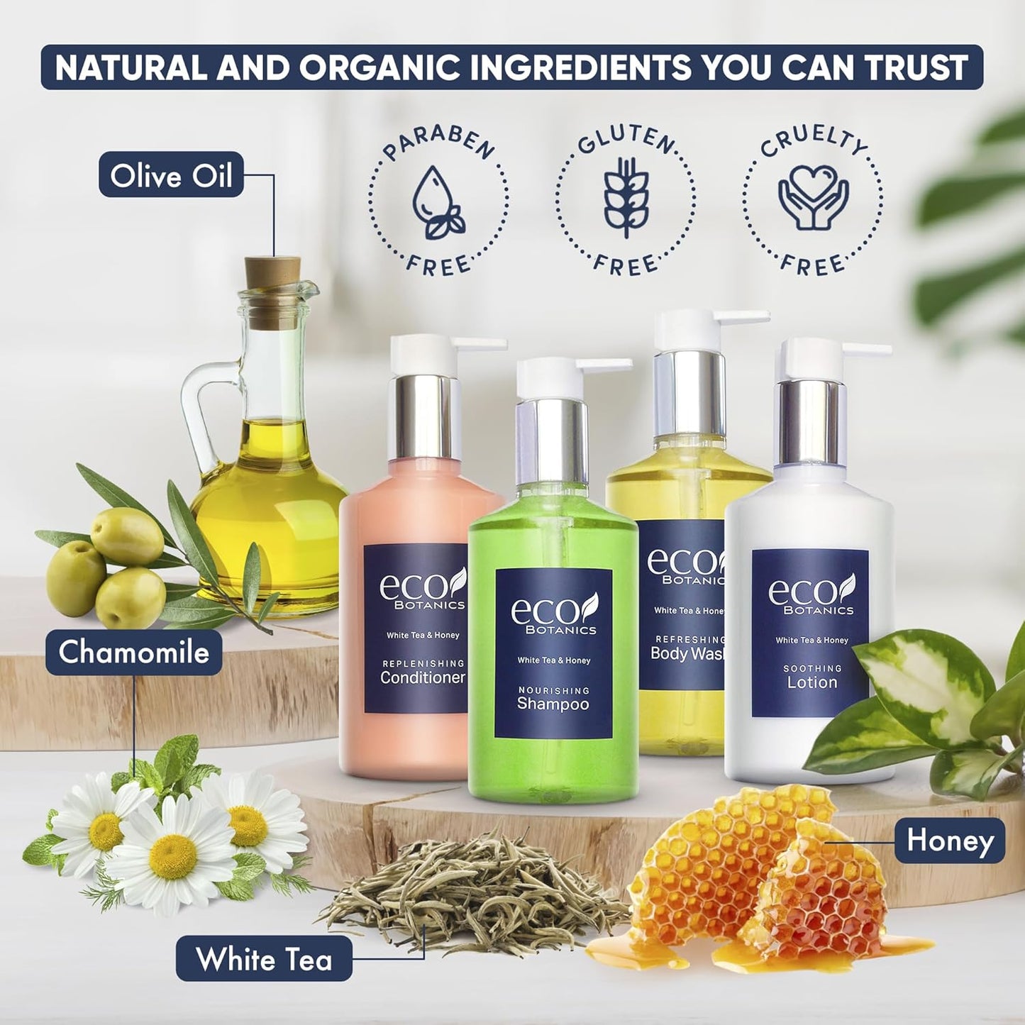 1-Shoppe Eco Botanics 20 Piece Ecobox All-In-Kit | White Tea and Honey Soap | 6 Shampoo, 4 Conditioner, 6 Body Wash & 4 Lotion | 10.14oz Hotel Soaps and Toiletries Bulk | Personal Care Products