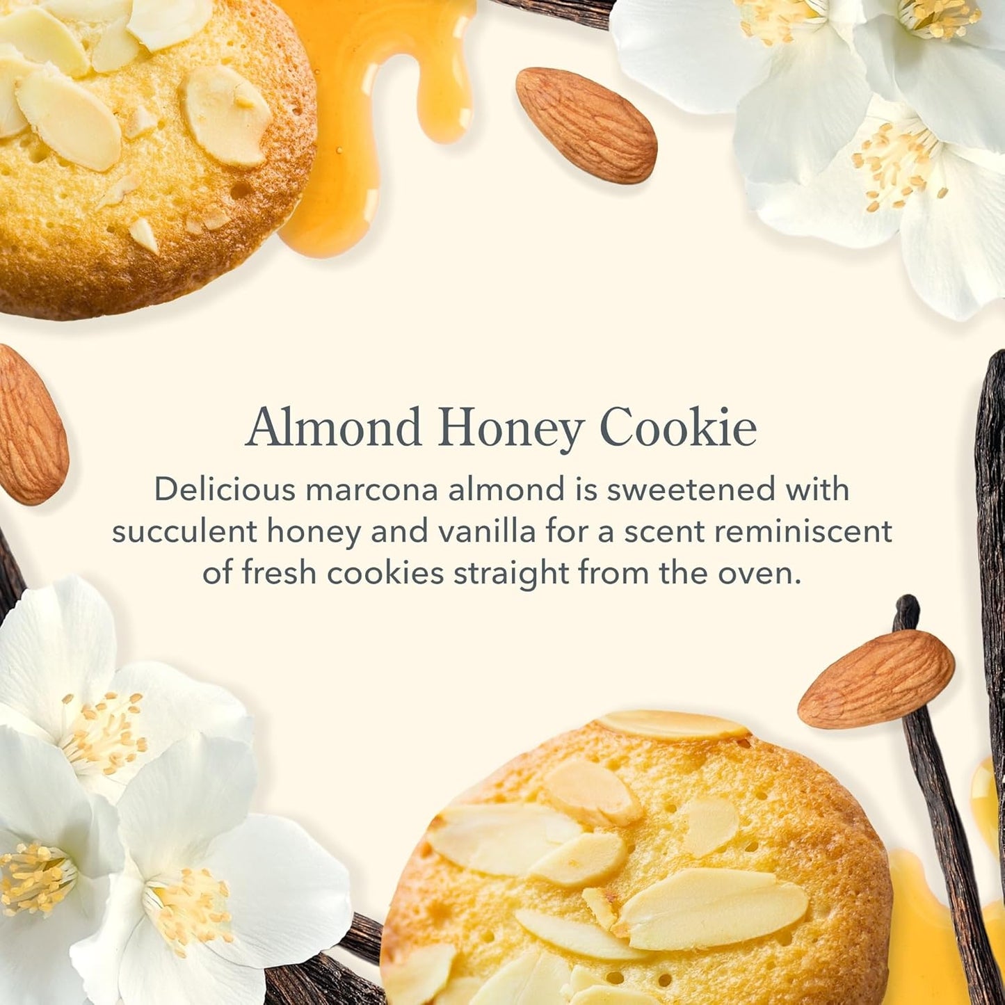 Beekman 1802 Almond Honey Cookie Whipped Body Cream - 2 oz - Moisturizes, Soothes & Softens - With Coconut Oil and Mango Seed Butter - No Irritation - Good for Sensitive Skin