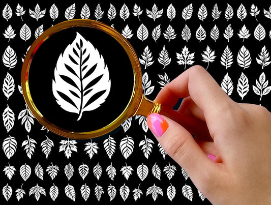 Nail Stickers Decals (5 Sheets) FLONZNAIL Variated Autumn Leaves Vintage Styled Nail Decor